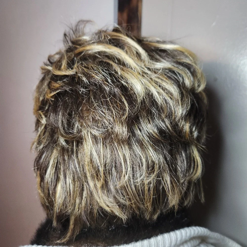 Jon Renau Wig Brown Low Lights Blonde Highlights Nature Blend Modacrylic Fiber R